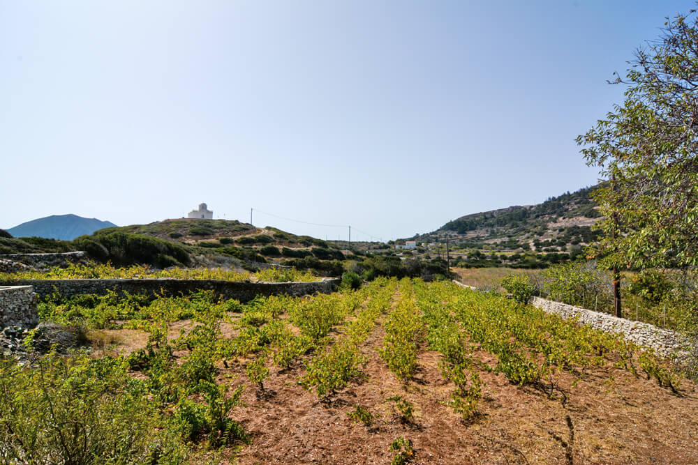 karpathos08